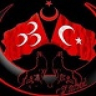 seslichat